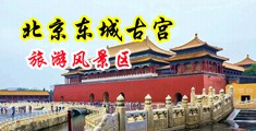 丝袜揉胸淫乱骚屄肏屄中国北京-东城古宫旅游风景区
